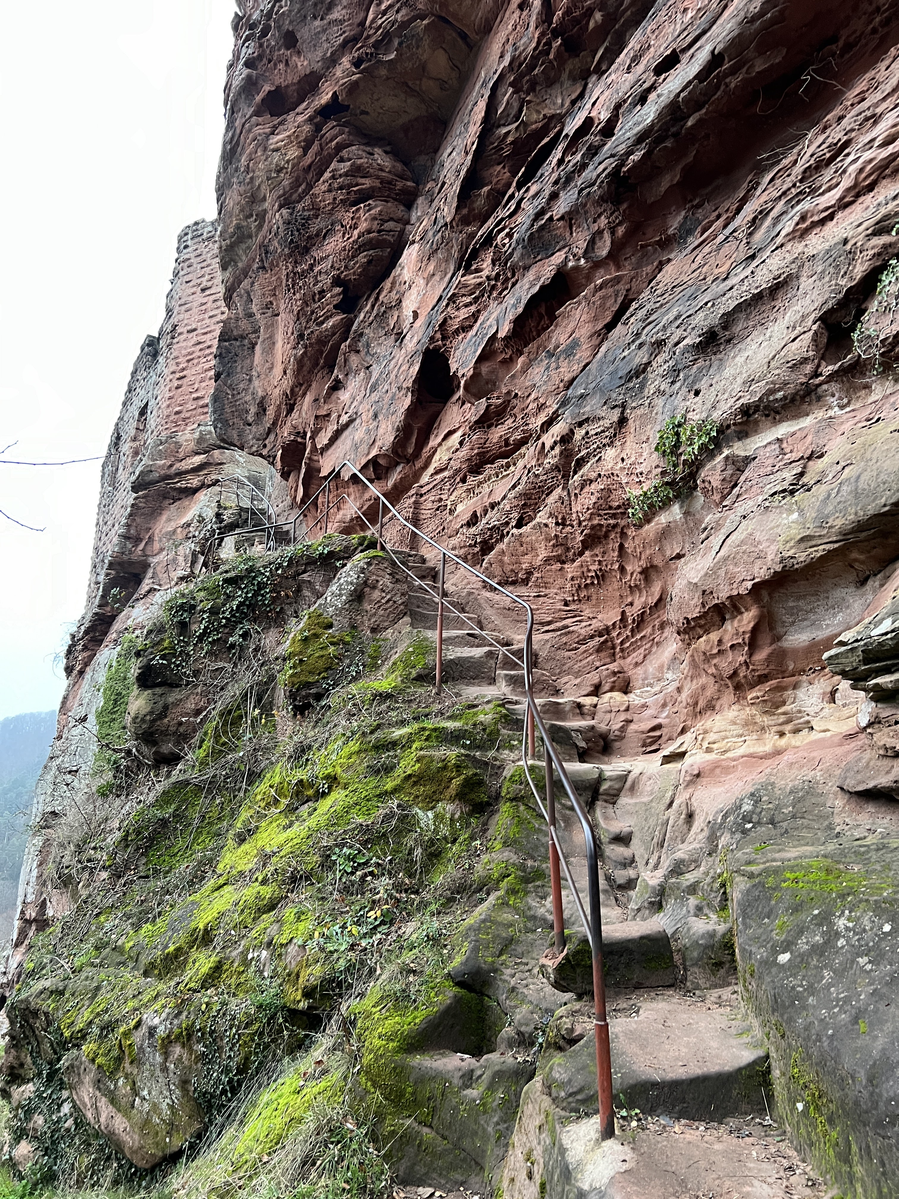 Photo n° 6 de l'avis de Nik. fait le 23/12/2023 à 12:25