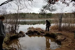 Wildlands Trust - Hoyt-Hall Preserve image