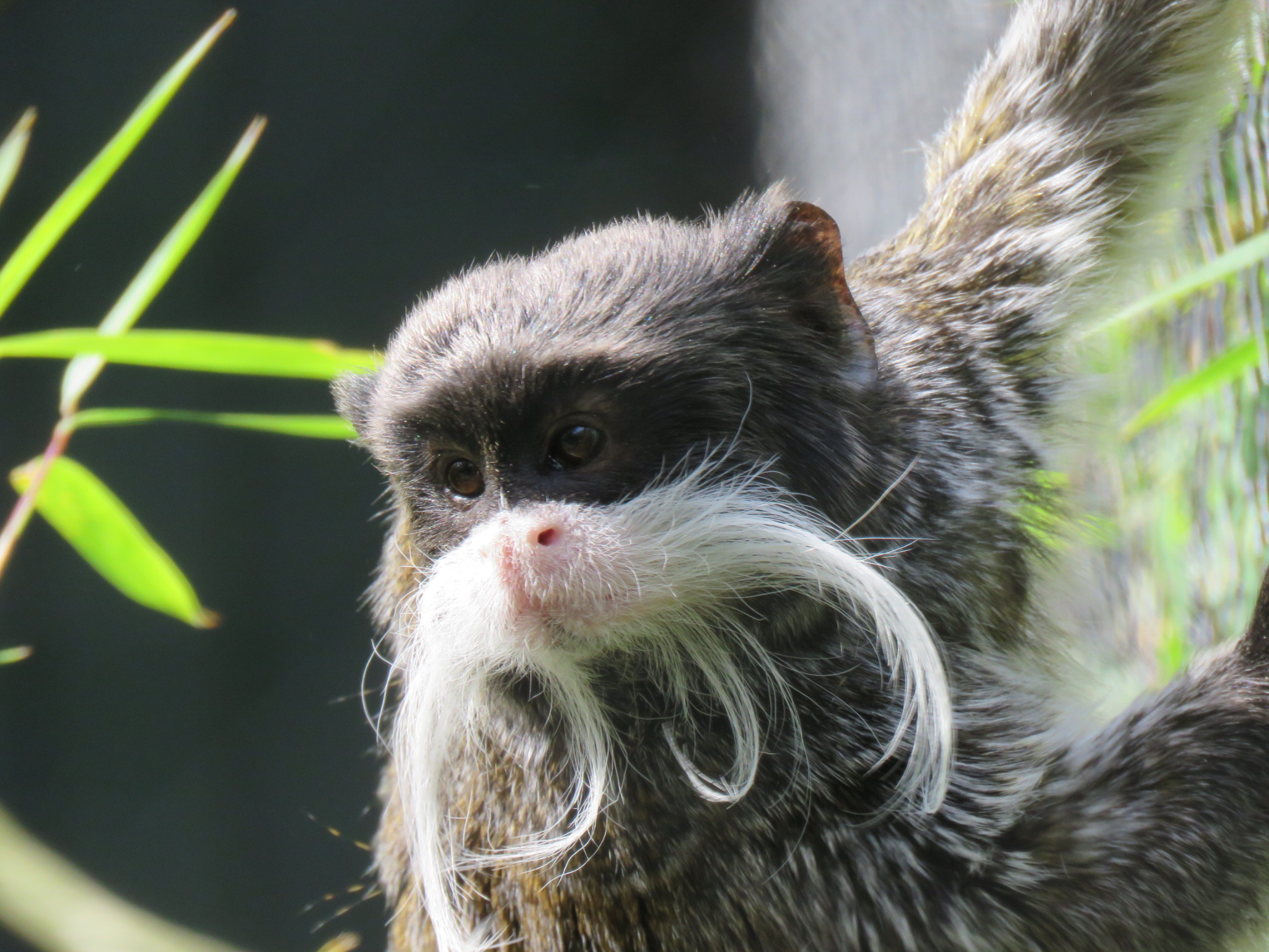 Photo n° 2 de l'avis de Delphine.� fait le 17/04/2022 à 17:54