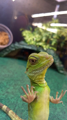 Pet Supply Store «Pet Supplies Plus», reviews and photos, 1810 Declaration Dr, Independence, KY 41051, USA