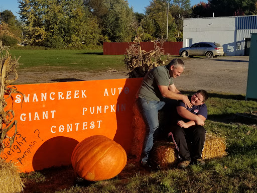 Auto Repair Shop «SWAN CREEK Auto Repair», reviews and photos, 10950 Swan Creek Rd, Saginaw, MI 48609, USA