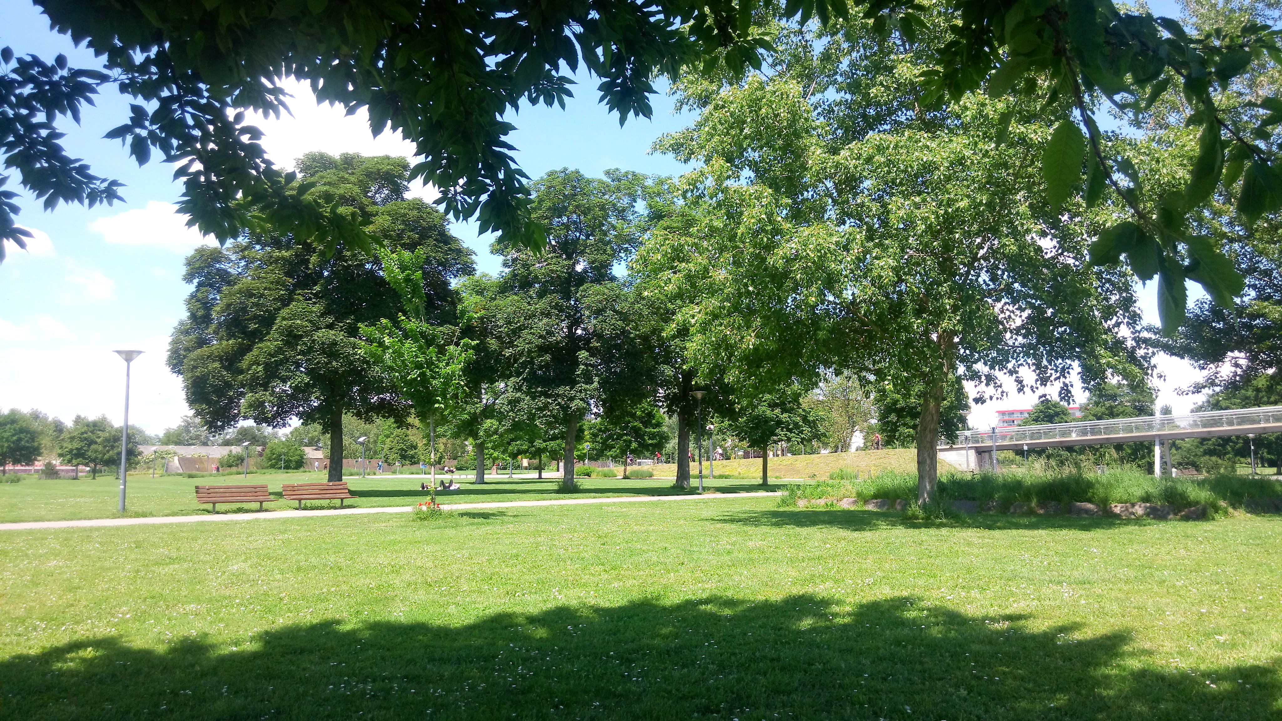 Photo n° 1 de l'avis de ArnO.. fait le 31/05/2019 à 10:26