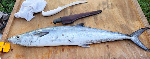 Motorsports Store «RIVA Motorsports», reviews and photos, 3671 N Dixie Hwy, Pompano Beach, FL 33064, USA