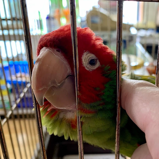 Pet Store «Mike Pet Center LLC», reviews and photos, 133 NJ-35, Neptune City, NJ 07753, USA