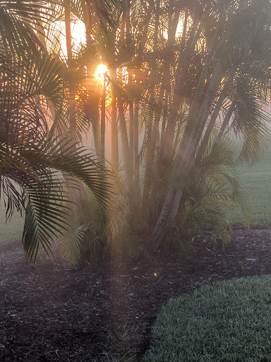 Park «Mangurian Park», reviews and photos, 3850 N Federal Hwy, Fort Lauderdale, FL 33308, USA