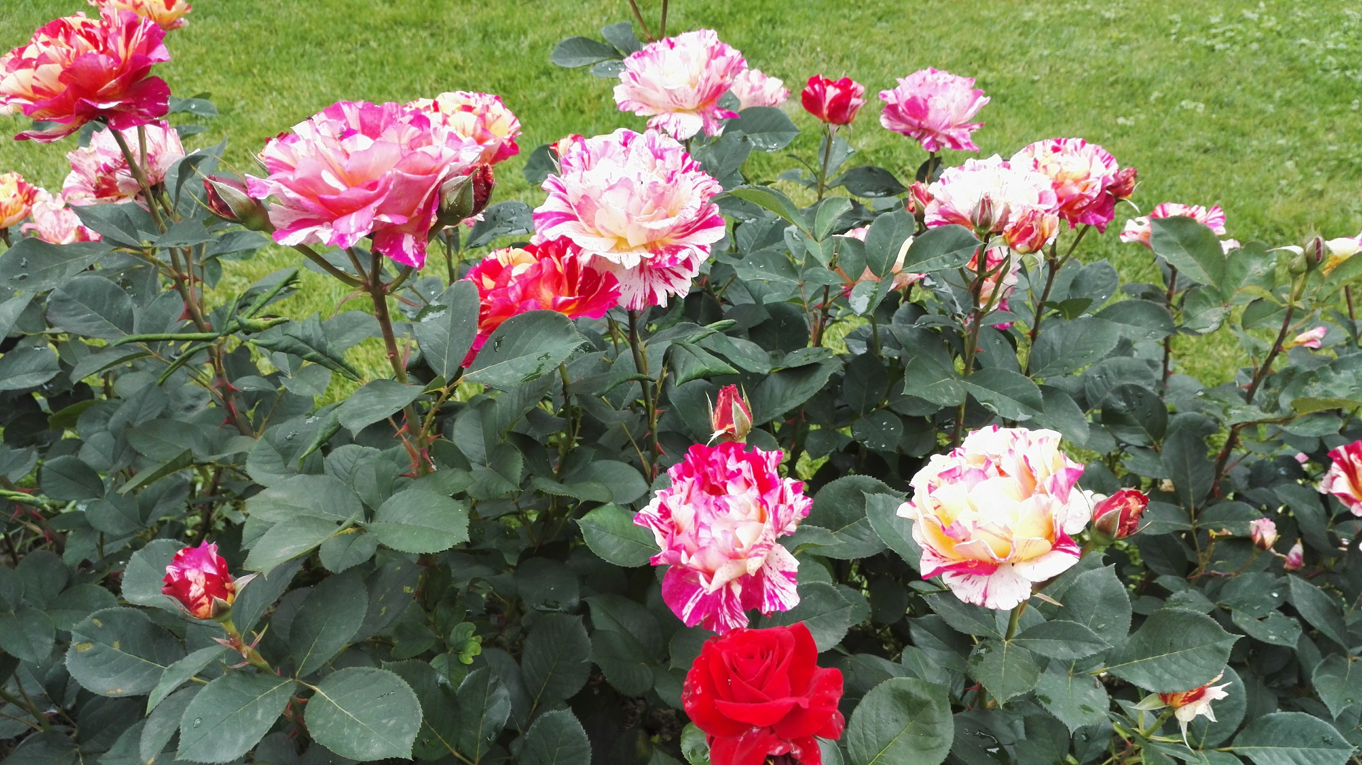 Photo n° 6 de l'avis de daniel.e fait le 01/06/2018 à 13:17