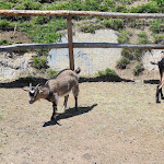 Photo n°2 de l'avis de Liana.r fait le 27/06/2023 à 21:09 sur le  Baita Miara Hütte à Canazei