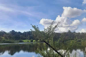 Tigoni Dam image