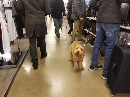 Department Store «Nordstrom Rack Lincoln Park», reviews and photos, 1551 N Sheffield Ave, Chicago, IL 60642, USA