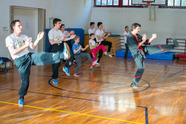 Wing Tsun Székesfehévár - Önvédelem és kung fu oktatás - Iskola