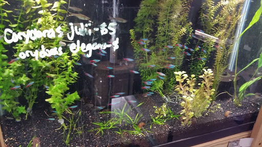 Aquarium «Skoolz of Fish», reviews and photos, 1503 Chamberlayne Ave, Richmond, VA 23222, USA
