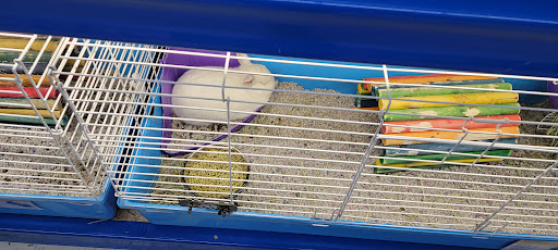 Pet Supply Store «Chow Hound Pet Supplies», reviews and photos, 5265 Northland Dr NE, Grand Rapids, MI 49525, USA