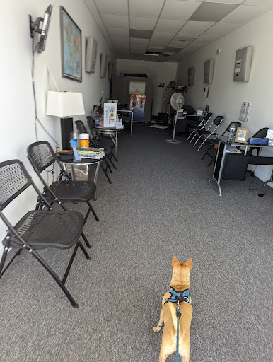 Grocery Store «Bay Supermarket», reviews and photos, 907 Normandy Dr, Miami Beach, FL 33141, USA