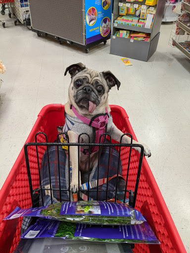 Craft Store «Michaels», reviews and photos, 1578 Dogwood Dr SE, Conyers, GA 30013, USA