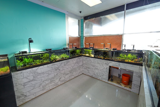 Pet Supply Store «Strictly REEF», reviews and photos, 907 W Moana Ln, Reno, NV 89509, USA