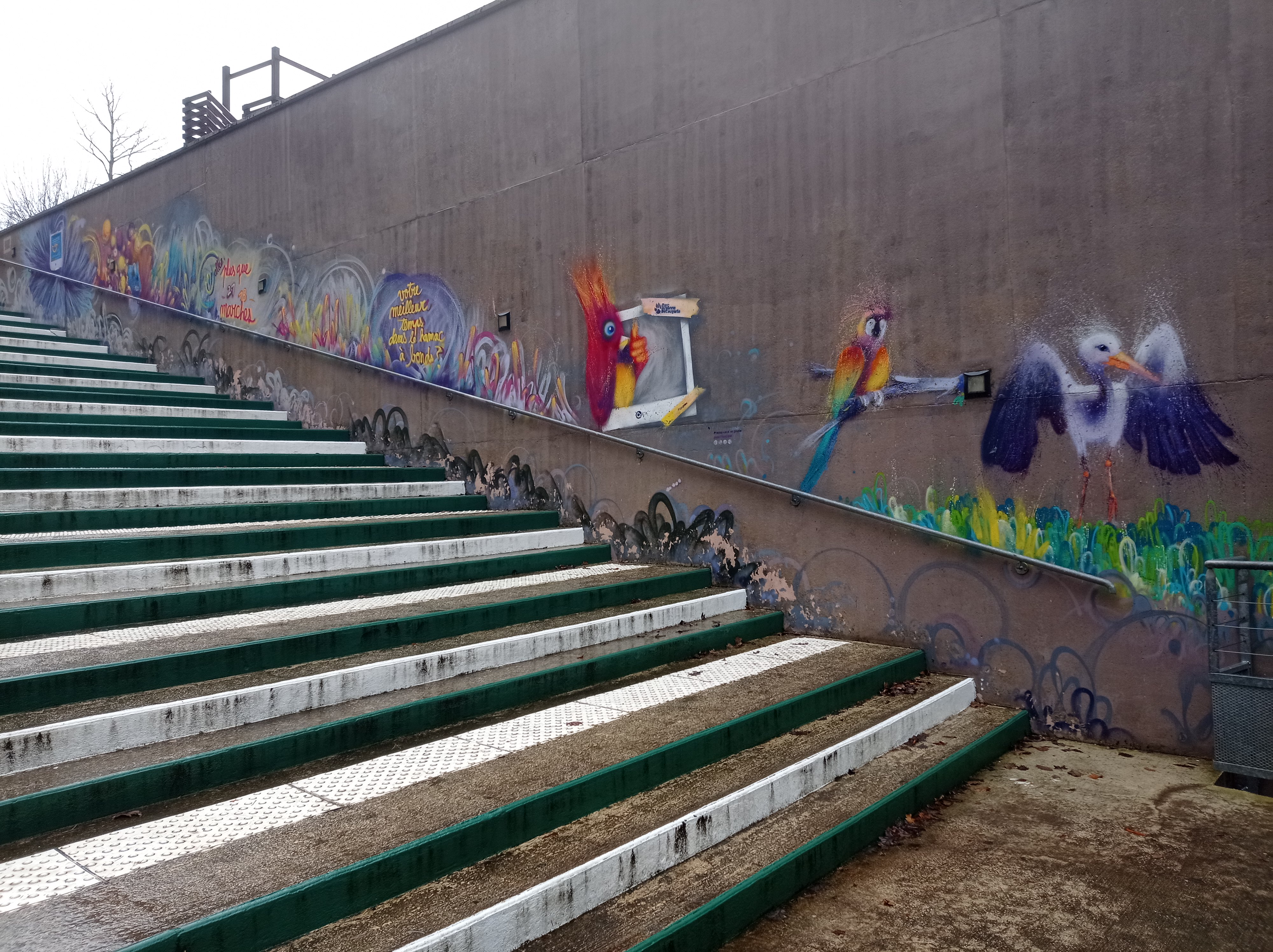 Photo n° 4 de l'avis de Suzanne.o fait le 19/02/2022 à 14:28