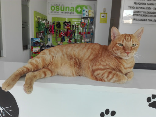 Clínica Veterinaria 