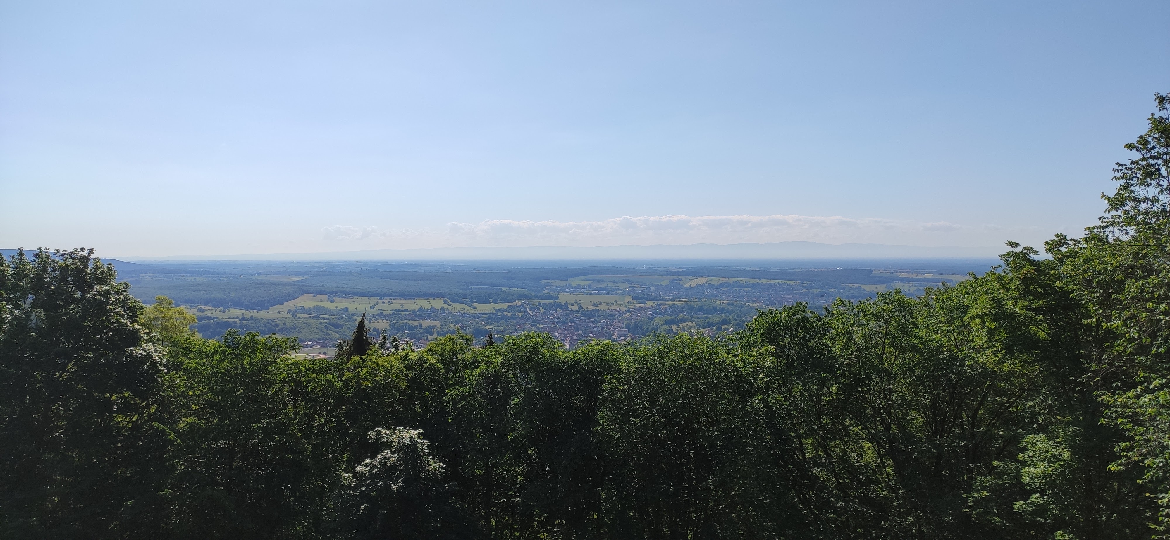 Photo n° 8 de l'avis de exil35. fait le 30/05/2022 à 12:38