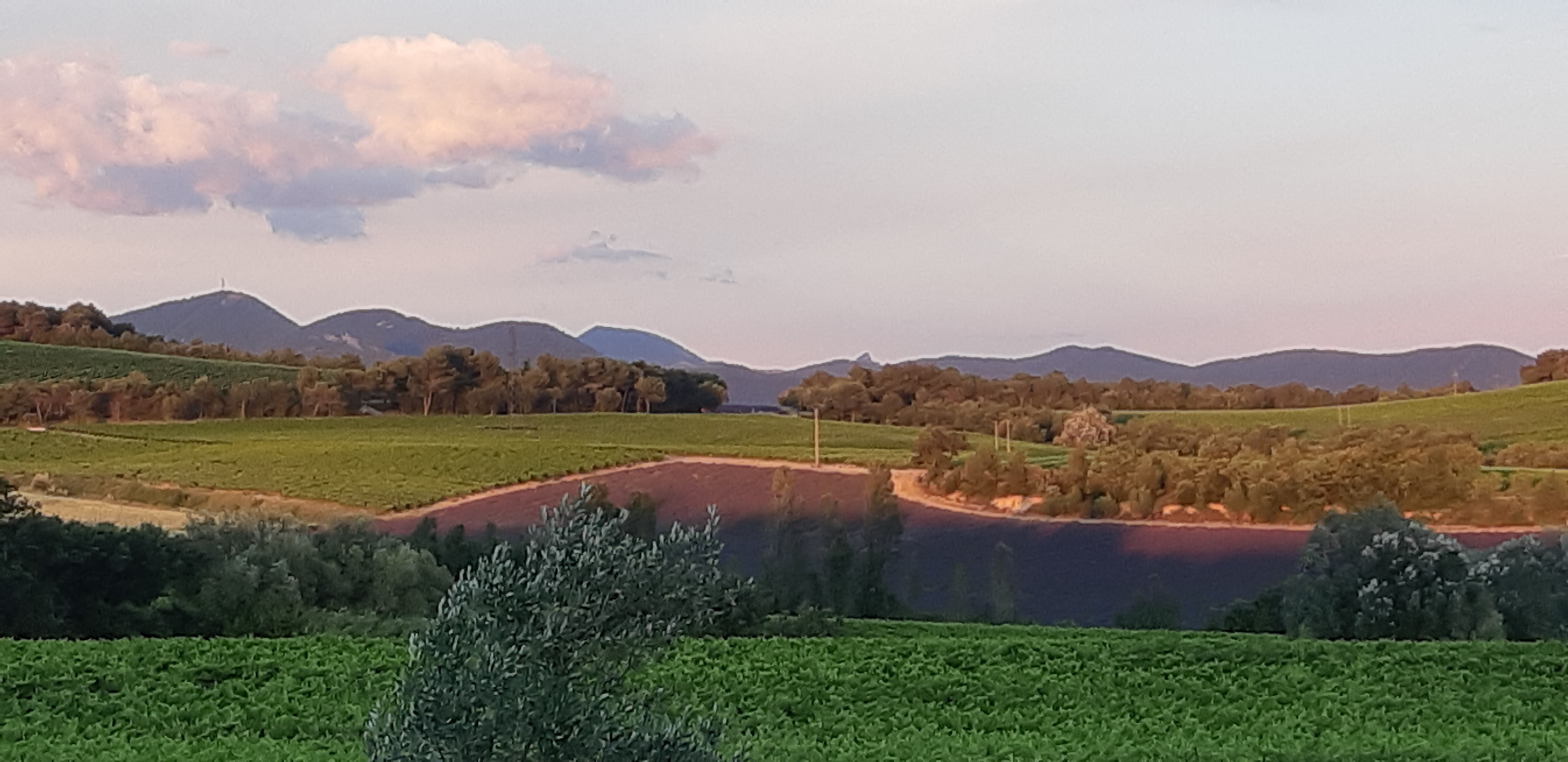 Photo n° 3 de l'avis de Florence.a fait le 11/07/2020 à 15:45