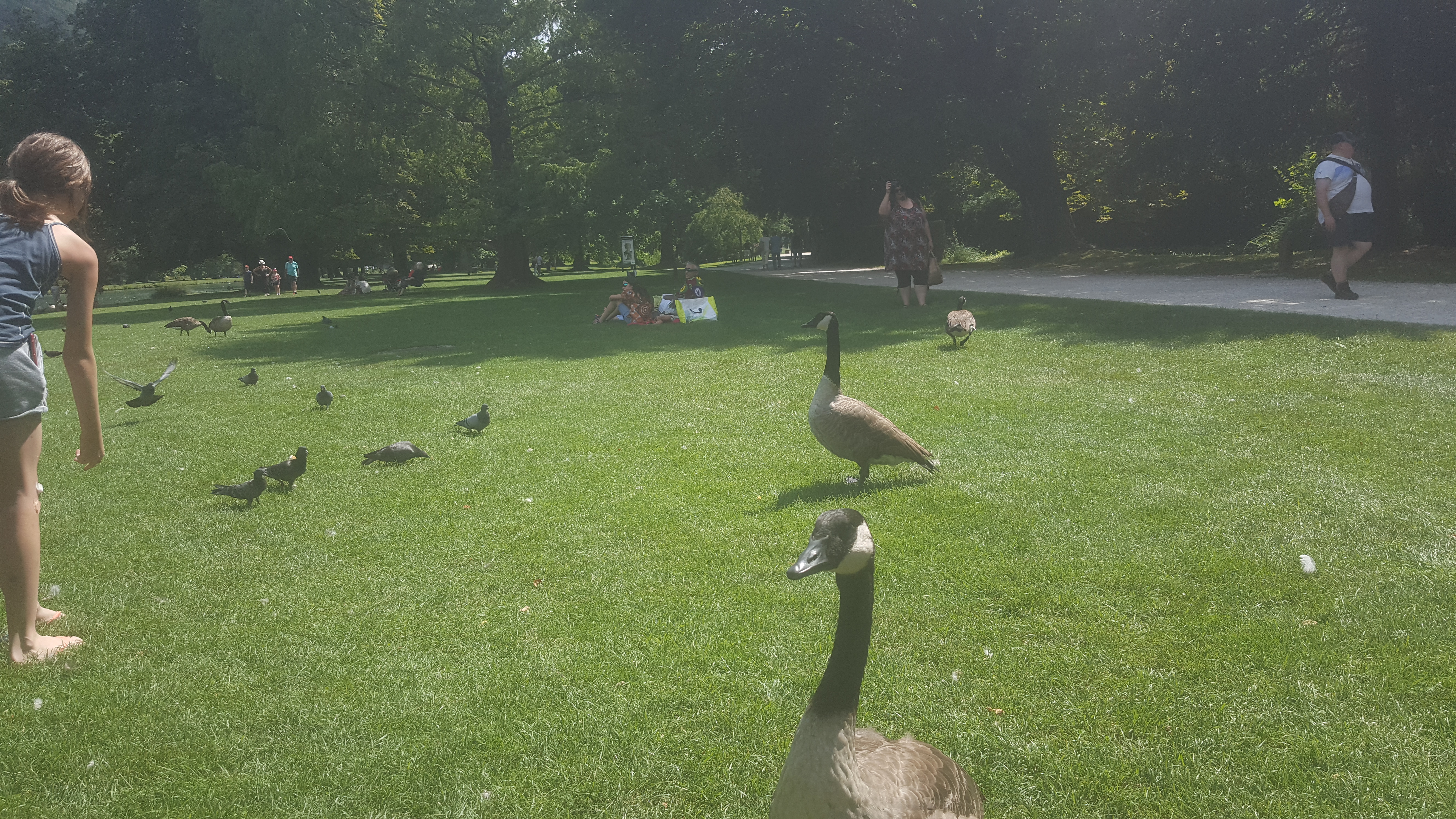 Photo n° 1 de l'avis de marie.e fait le 11/08/2019 à 14:28