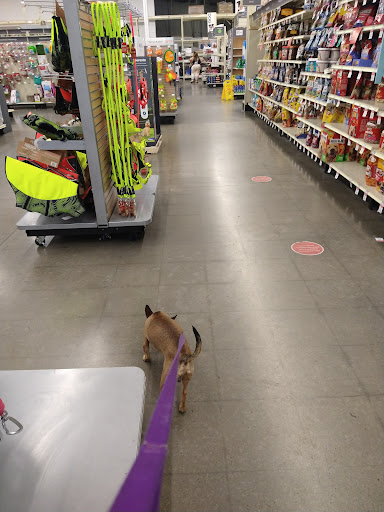 Pet Supply Store «PetSmart», reviews and photos, 13764 W Bell Rd, Surprise, AZ 85374, USA