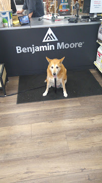 Herzog's Design Center of Fishkill - Photo 4 - Car repair in Fishkill, NY, Poughkeepsie