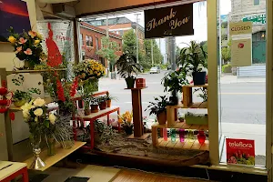 Ottawa Kennedy Flower Shop image