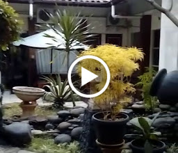 Airy Gombel Bukit Sari Raya 1 Semarang photo