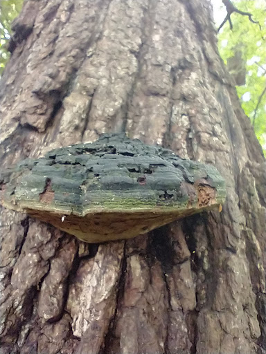 Golf Course «California Golf Course», reviews and photos, 5924 Kellogg Ave, Cincinnati, OH 45228, USA