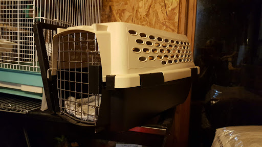 Pet Store «Kalamazoo Reptile Show», reviews and photos, 2900 Lake St, Kalamazoo, MI 49048, USA