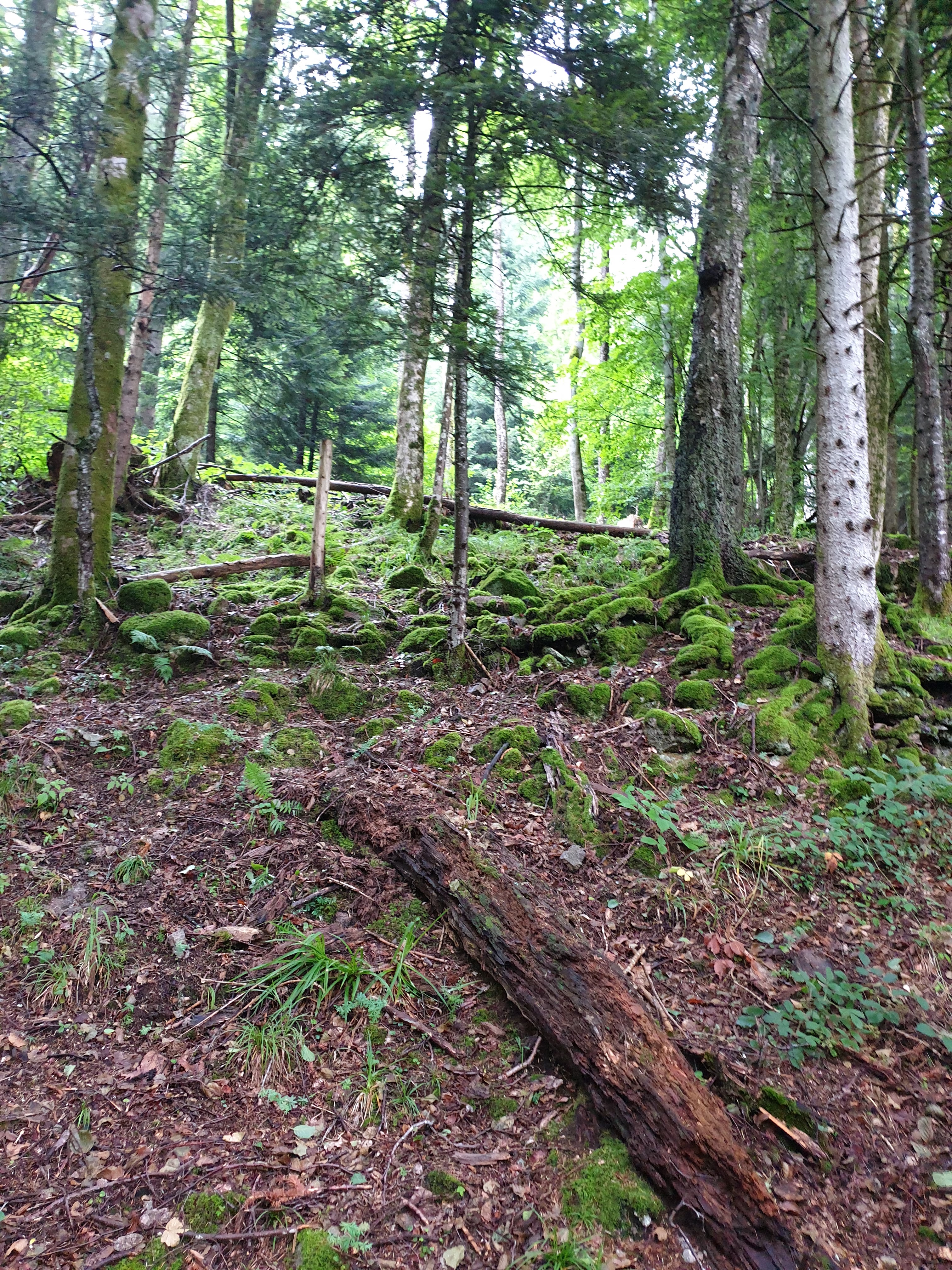 Photo n° 20 de l'avis de Christophe.r fait le 28/07/2019 à 18:55
