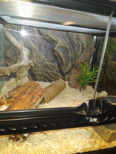 Pet Supply Store «Pets For You», reviews and photos, 413 N Main St, Rice Lake, WI 54868, USA