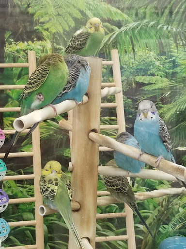 Pet Supply Store «Petco Animal Supplies», reviews and photos, 1680 Campbell Ln, Bowling Green, KY 42104, USA