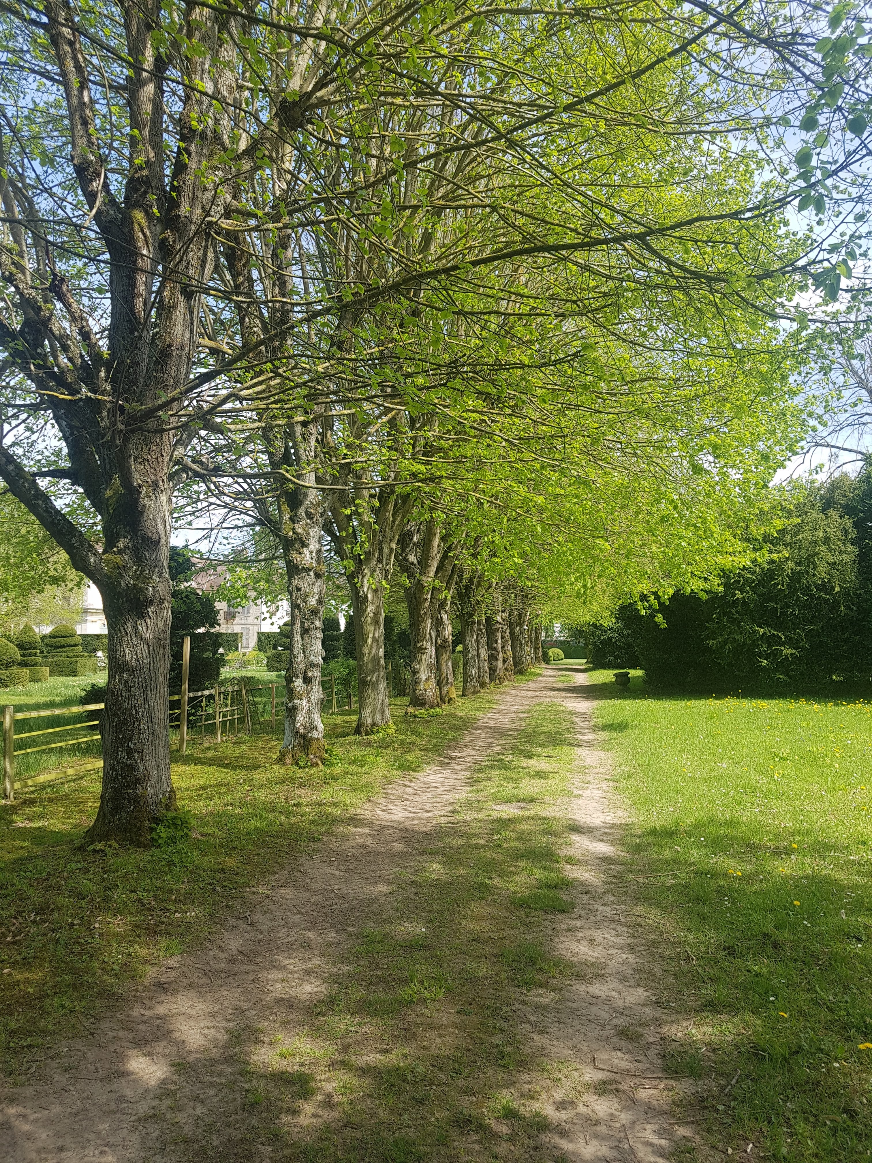 Photo n° 25 de l'avis de Isabelle.e fait le 21/04/2019 à 18:53