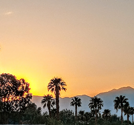 Thrift Store «Angel View Resale Store - Yucca Valley», reviews and photos