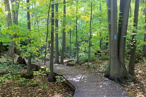 Silver Creek Conservation Area image