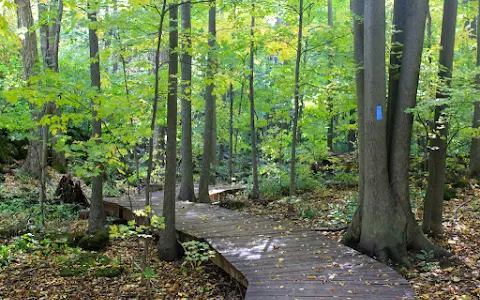 Silver Creek Conservation Area image