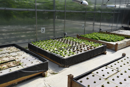 Grocery Store «Water Fresh Farm Marketplace», reviews and photos, 151 Hayden Rowe St, Hopkinton, MA 01748, USA