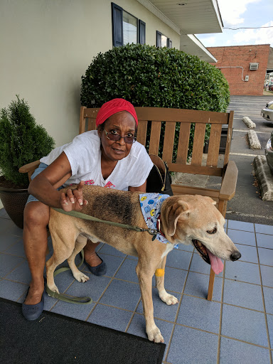 Roanoke Animal Hospital image