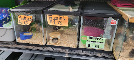 Animal Feed Store «All Pet Feed & Tack», reviews and photos, 25598 E Baseline St, San Bernardino, CA 92410, USA