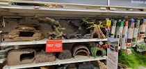 PetSmart - Photo 9 - Car repair in Tyler, TX, Tyler