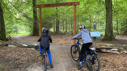 MTB spor Sønderskoven in Vejle, Vejle