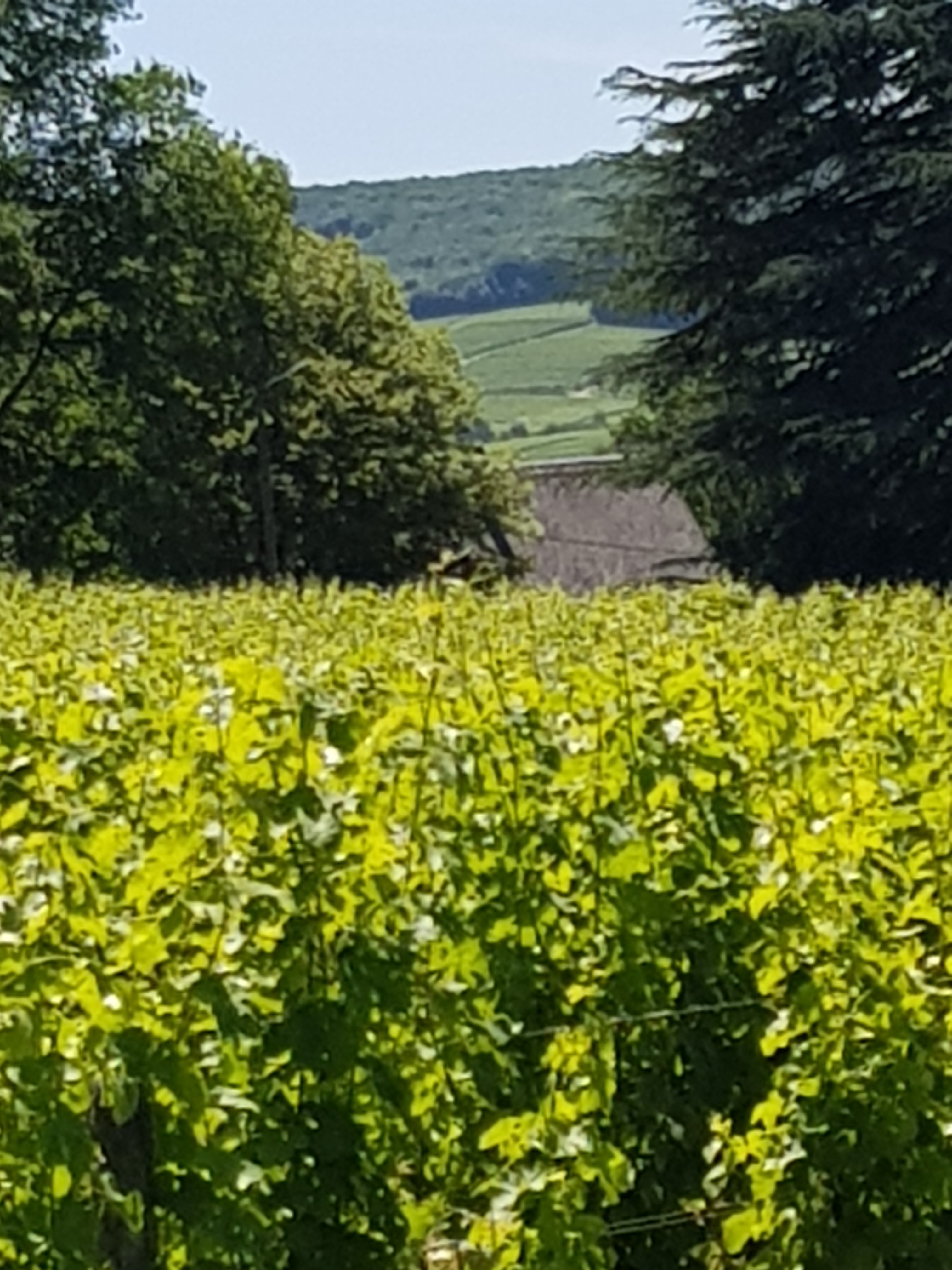Photo n° 2 de l'avis de Valérie.i fait le 20/06/2018 à 17:29