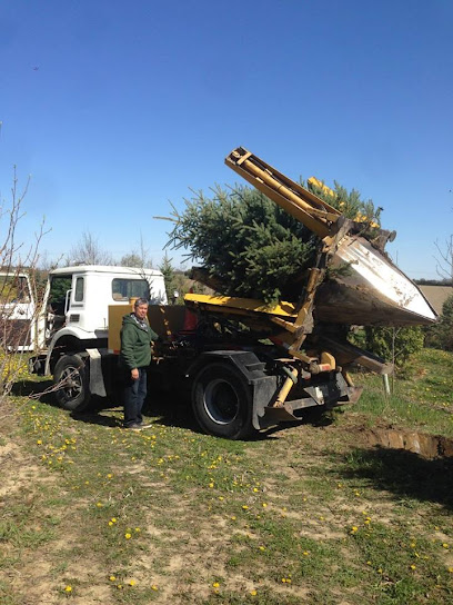 CM Wilson Tree Moving Service