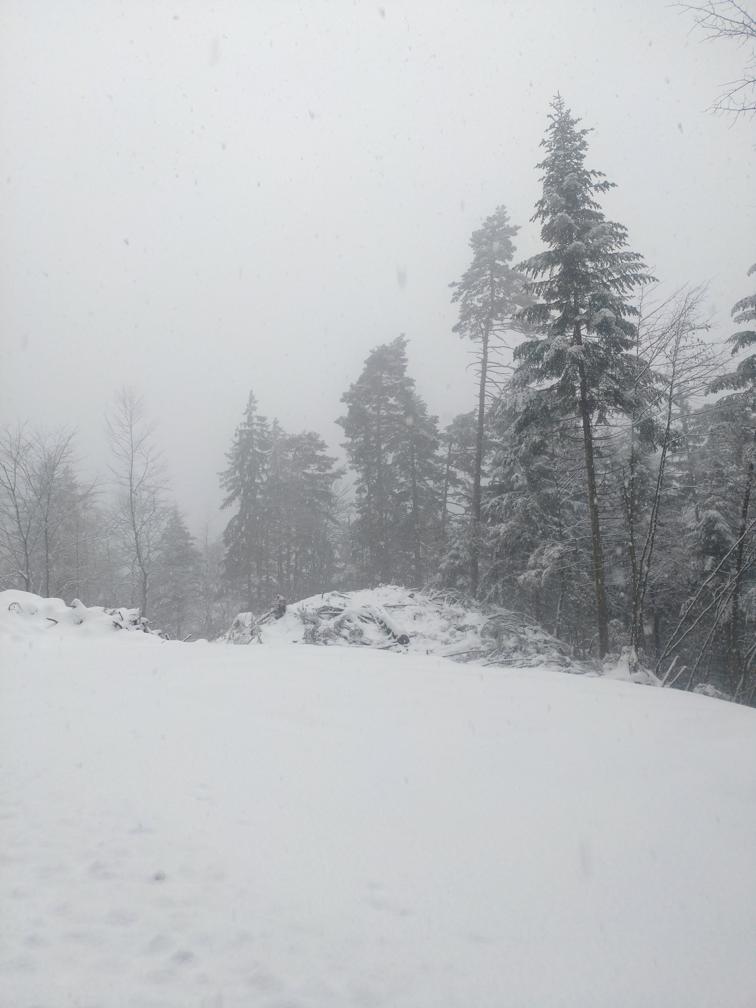 Photo n° 14 de l'avis de Oussem.e fait le 08/03/2018 à 12:43