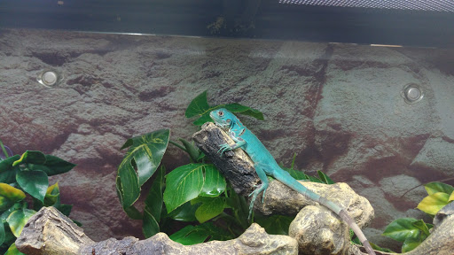 Pet Supply Store «Petco Animal Supplies», reviews and photos, 4491 Kirkwood Hwy, Wilmington, DE 19808, USA