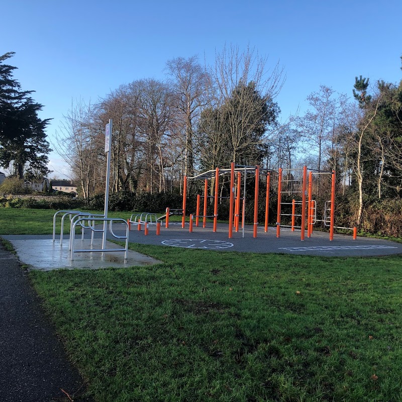 Blackrock Outdoor Exercise Zone