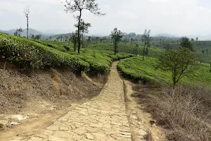 Nallamudi View point image