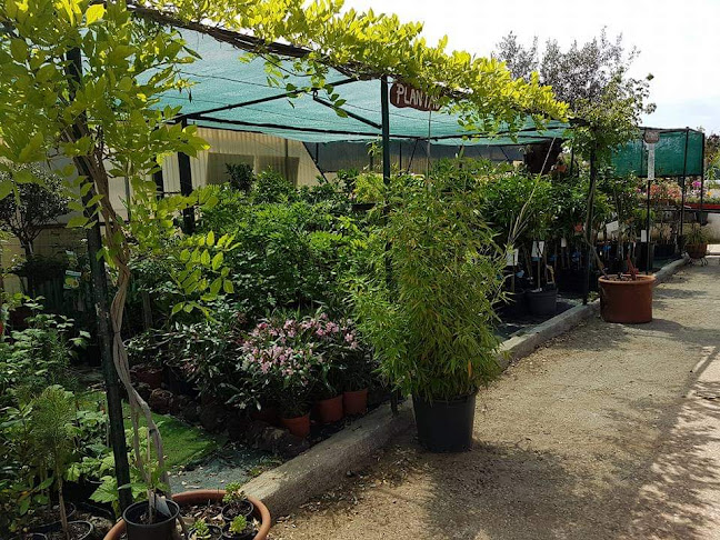 Comentários e avaliações sobre o Garden Park Santa Marta de Corroios