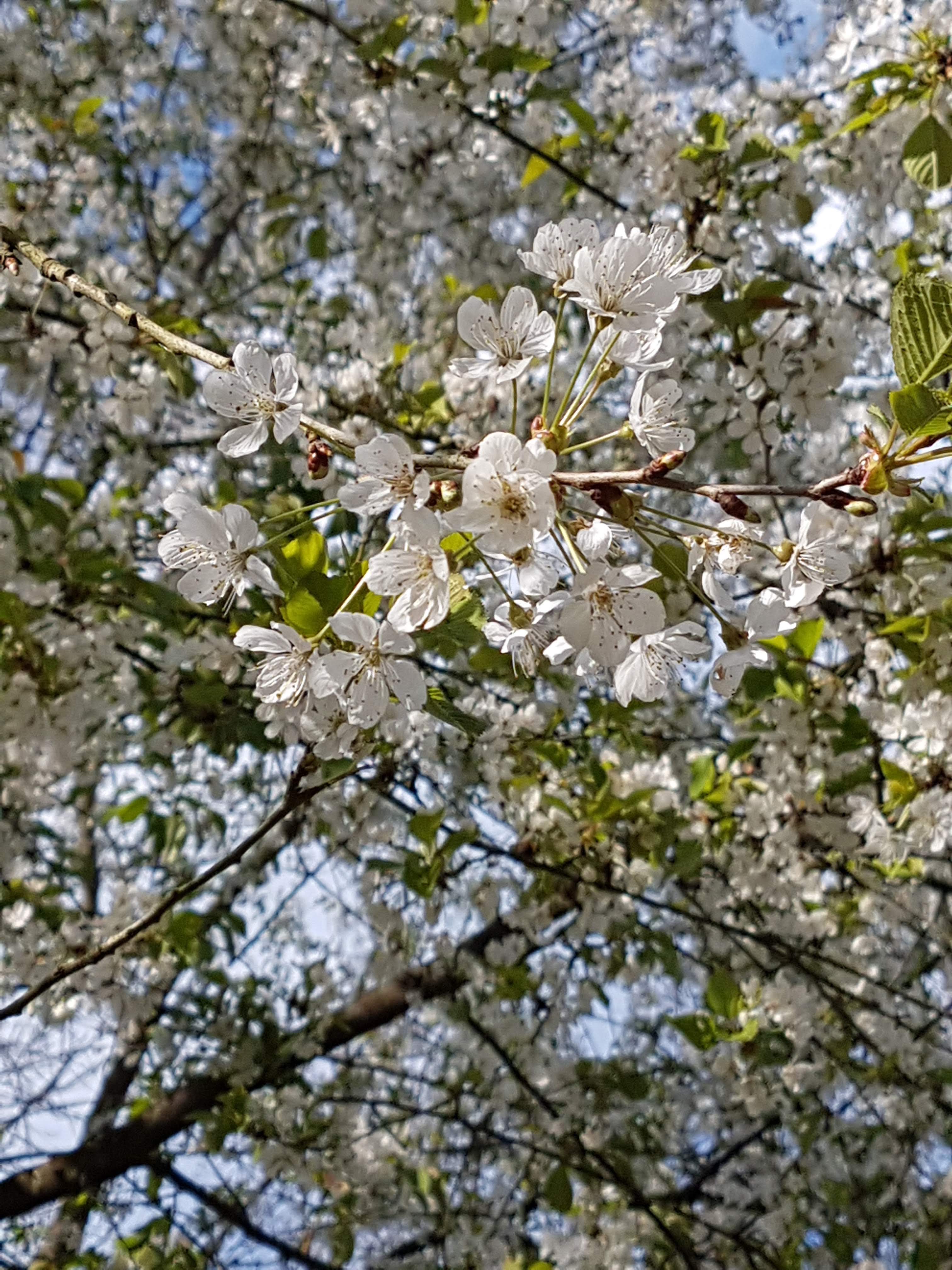 Photo n° 3 de l'avis de flo.i fait le 13/04/2019 à 15:54